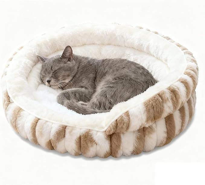 Grey cat curled up sleeping in a cream and tan fluffy donut cat bed