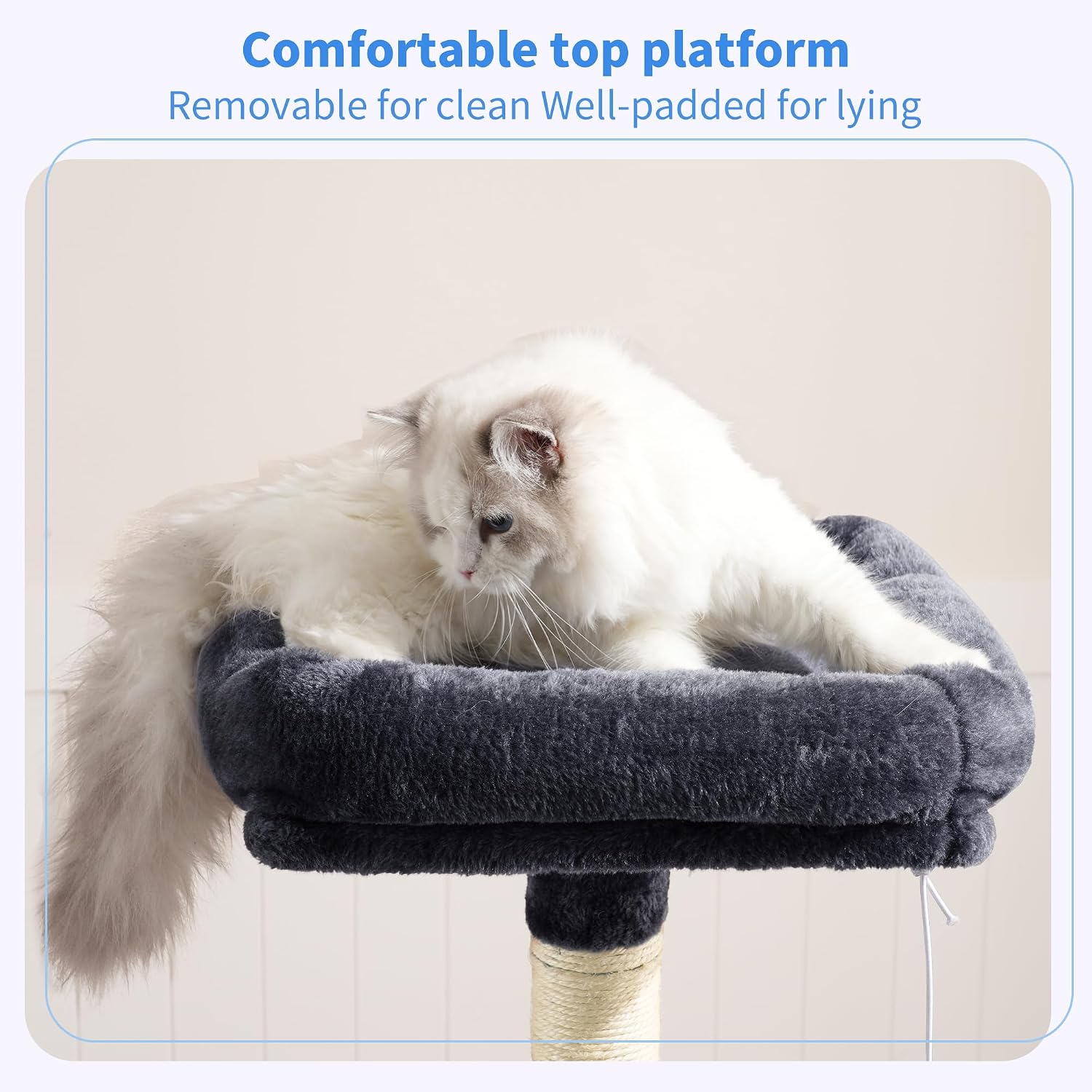 Cat lying on the padded removable top platform of the cat tree